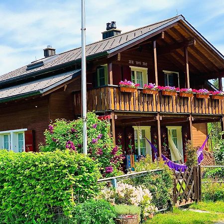 The Swiss Paradise 1 Penthouse Apartment Wirzweli Екстериор снимка