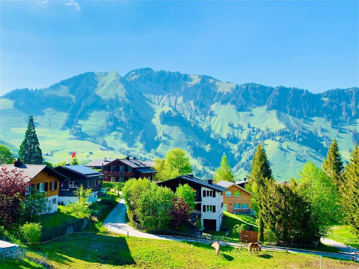 The Swiss Paradise 1 Penthouse Apartment Wirzweli Екстериор снимка